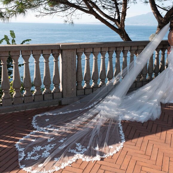 Cathedral Floral Lace Wedding Veil with Comb - Picture 1 of 2